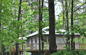 The cabin is built at the head of a ravine, with a deck 14' high into the trees