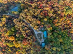 2 miles from town, but still hidden in the forest.